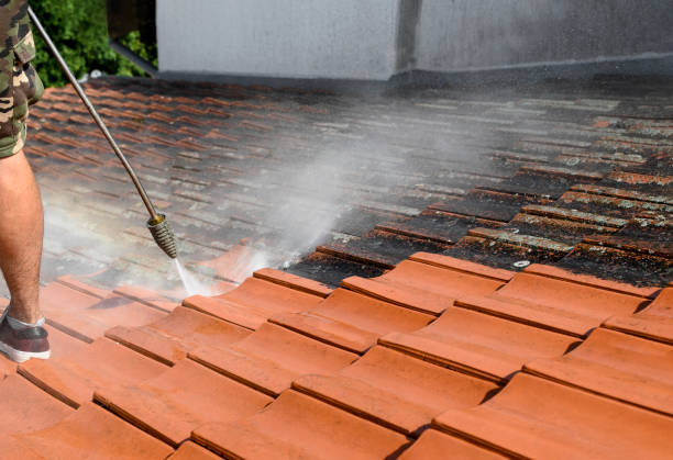 Best Garage Pressure Washing  in Shenandoah Farms, VA