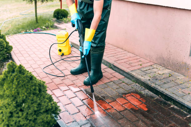 Best Roof Power Washing Services  in Shenandoah Farms, VA