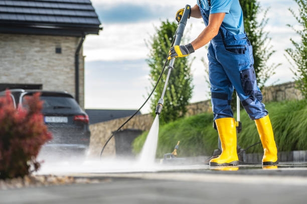 Best Exterior Home Cleaning  in Shenandoah Farms, VA